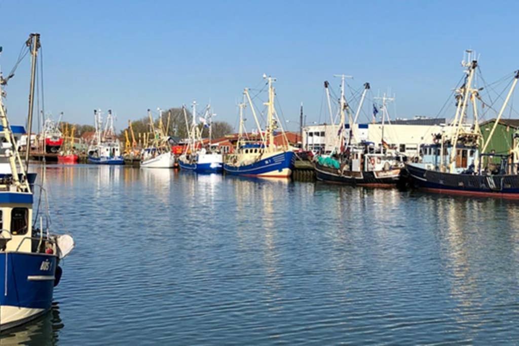 Nordseeglueck In Buesum Nahe Familienlagune Ngoại thất bức ảnh